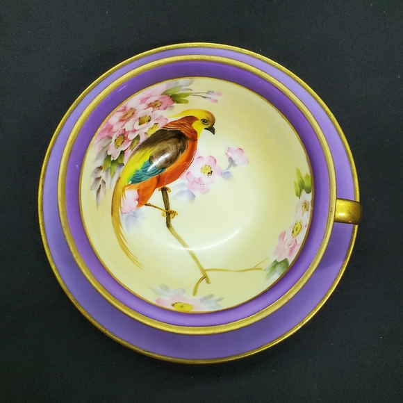 Handpainted Noritake Teacup and Saucer Stunning Unique Gorgeous 😍 - Picture 6 of 10